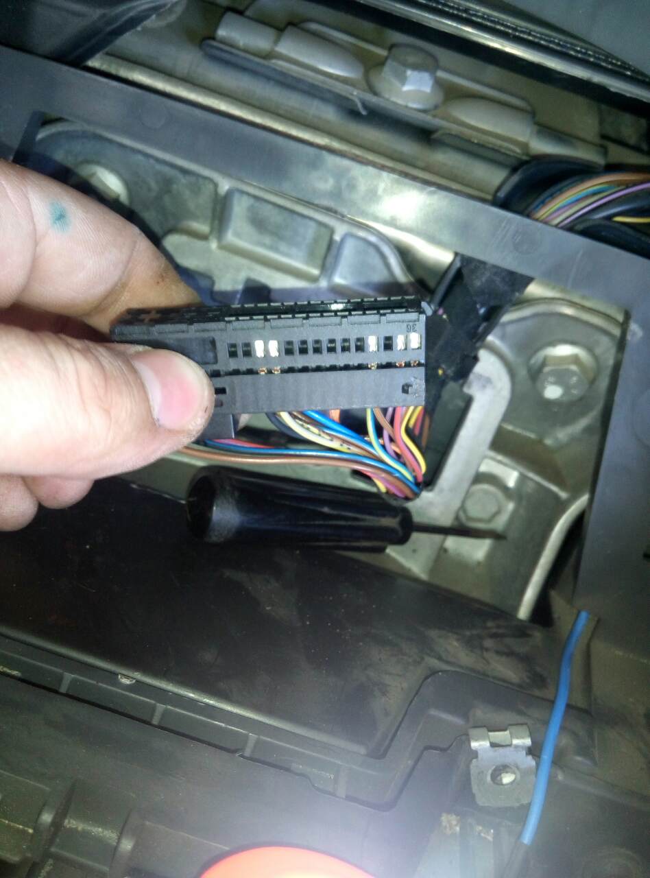 0-02-04-3ba64a4aacbb18dcf70595cc4e3a3f157392e4298d769773f106326d27fc989b_full.jpg