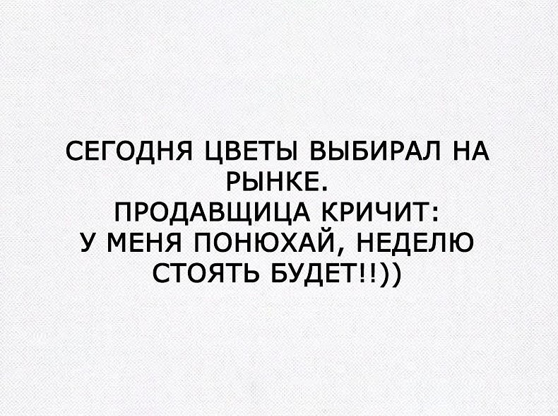 История № История такова: На рынке в крыле где продают цветы - мужик…