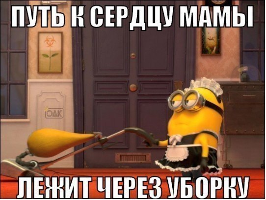 t4PqJ_WHs6Y.jpg