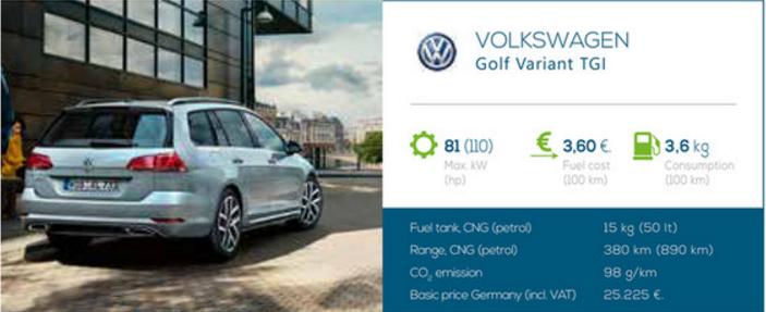 VW_GolfVariant_TGI.JPG