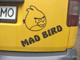 Mad_Bird